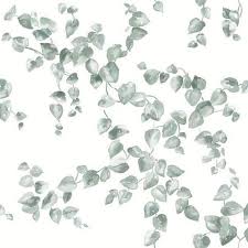 We did not find results for: Fh4037 Sage Creeping Fig Vine Leaf Wallpaper