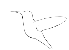 Easy To Draw Hummingbirds Novocom Top
