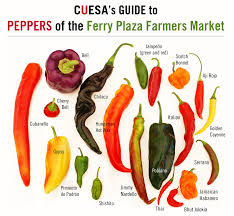 Hot Pepper Picture Chart Sweet To Heat A Guide To