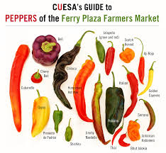 hot pepper picture chart sweet to heat a guide to