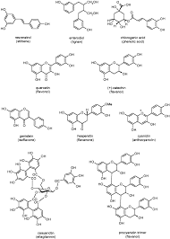 Chemical Structures Of The Main Classes Of Polyphenols