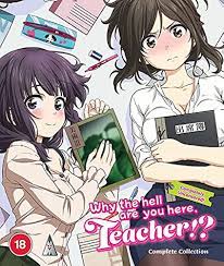 Why The Hell Are You Here, Teacher!? Collection BLU-RAY [2021]:  Amazon.co.uk: DVD & Blu-ray