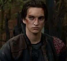 The 100 Series: Lexa's Character and Plot Development