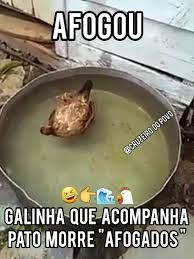 Galinha que acompanha Pato morre "AFOGADOS"! | Galinha que acompanha Pato morre "AFOGADOS"!🤣👉🌊🐔 | By Cruzeiro do PovoFacebook
