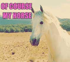 It's hard to say an horse or an house, or an help or an helicopter. Of Course My Horse Gifs Get The Best Gif On Giphy