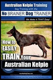 Free Download Australian Kelpie Training Dog Training With The No Brainer Dog Trainer We Make I Australian Kelpie Dog Training Dog Trainer