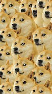 Discover more posts about dogecoin memes. Doge Meme Wallpapers Wallpaper Cave