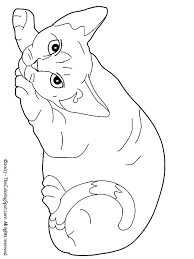 Bekijk meer ideeën over tekenen, meisjes tekenen, bff. Kleurplaat Kleurplaat Poezen 3787 Kleurplaten Katten Tekening Kleurboek