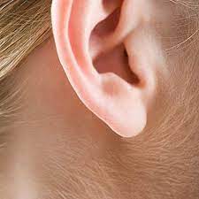 Fragile, dry hair, weakened, brittle fingernails, and dull, dry skin are signs of general malnutrition, particularly when calories, protein, and zinc are low. Anorexia Hair Loss Pictures