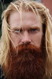 Portrait Of Handsome Nordic Man Portrait Of Serious Middle Aged Man With Long Blond Hair Red Beard And Mousta Red Beard Beard Illustration Beard Styles Short