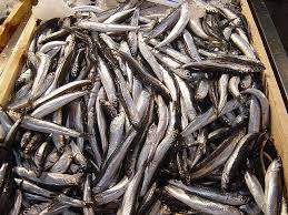 Gavros, trikala, a village in the municipality kalampaka, trikala regional unit, greece. Photos Food