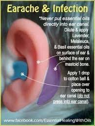 How To Treat An Ear Infection With Essential Oils For Essential Oils For Babies Living Essentials Oils Essential Oil Blends Recipes
