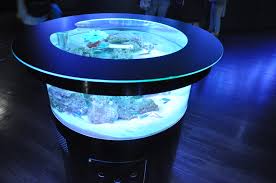 This aquarium comes complete with fully animated fish that help to brighten up any room. Aquariums Made Attractive Through The Power Of Technology Hi Tech Kids Web Japan Web Japan