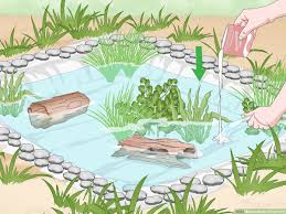 Check spelling or type a new query. How To Build A Frog Pond With Pictures Wikihow