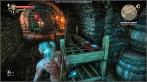 The Witcher: Geralt Vs Triss – Who Wins In A Fight?