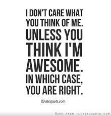 I Don T Care What You Think Of Me Unless You Think I M Awesome In Which Case You Are Right Funny Quotes Inspirational Quotes Motivation Quotes