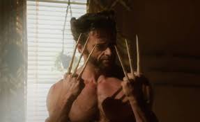 The wolverine is a powerful animal that resembles a small bear but is actually the largest member of the weasel family. Rumor Is Hugh Jackman Really Done With Wolverine Xfire