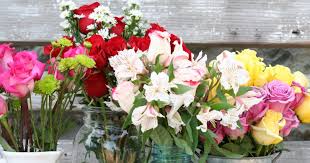 We did not find results for: How To Bring Dying Flowers Back To Life Bouqs Blog