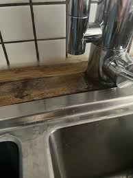 Image result for site:byggahus.se träskada