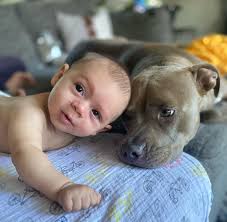 Michael Tomasello (@miketomasello) • Instagram photos and videos