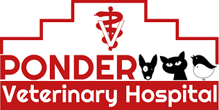 Pondervethospital Ponder Tx 76259 Our Doctors