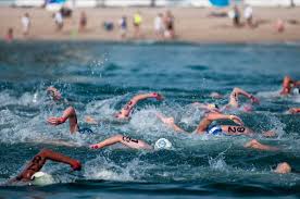 Veteran Open Water Swimmer Stephen Robles Attacked By Great White Shark Off California Coast