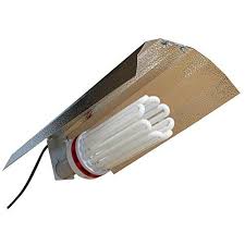 Again we find the hydrofarm agrobrite 32 watt, 6400k works great for individual light setup. Spl Horticulture 150 Watt Cfl Compact Fluorescent Grow Light Bulb System Of 2700k For Plant Growing Https Grow Light Bulbs Fluorescent Light Bulb Grow Lights