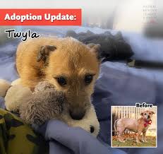 To make an appointment to discuss adopting angel, click here. Idkllzaemrifom
