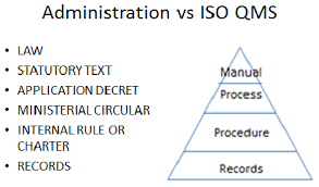 the organization chart of the top management example in a