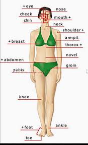 A1 Sopa De Letras: Las Partes Del Cuerpo En Inglés - Twinkl