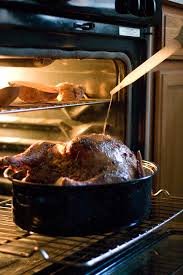 As you will soon see, a huge number of turkey basters have been created for you to choose from. Datei Turkey Baster In Use Jpg Wikipedia