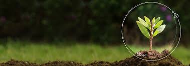 Intelectuales y referentes de estados unidos, brasil, china, kenia y ecuador, entre otros, disertan sobre la problemática medioambiental. Semm Dia Mundial Del Medio Ambiente