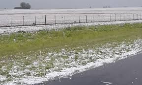 Pronostican una jornada fresca y con lluvias dia calido a caluroso. Las Imagenes Que Dejo La Caida De Granizo En Pergamino Agrofy News