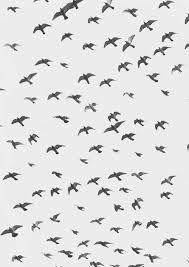 Kuslar Wallpaper Kus Bird Sanat Baskilar Kus Siluet Illustration