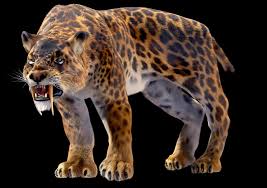 Smilodon Kilic Disli Kaplan Nesli Tukenen Hayvanlar