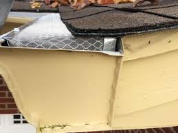 With purchase of the rhino protection system. What Gives Good Gutter Guards A Bad Name Guttertalk Blog Gutter Guards Direct