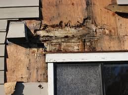 The businesses listed also serve surrounding cities and neighborhoods including sacramento ca , elk grove ca , and carmichael ca. Dry Rot Repair Foundation Repair Earthquake Retrofitting In Los Angeles