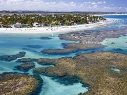 Playas Con Piscinas Y Acuarios Porto De Galinhas Playas De Brasil Lugares De Vacaciones