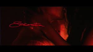 It was released on june 21, 2019, through island and epic records as the second single. Shawn Mendes Camila Cabello Senorita Lyric Video Youtube
