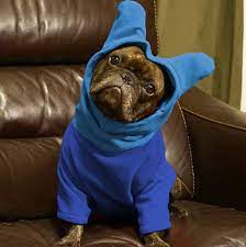 Coldweather Bathat Hoodie Keep Batears Snuggly By Snorfindustries 54 95 Bat Ears French Bulldog Bulldog