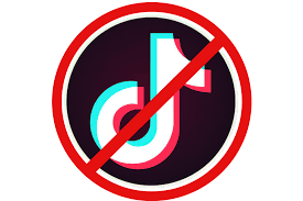 Tik tok banned in india : India And Usa Clamp Down On China S Tiktok App Government Civil Service News