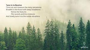 11 Nimble Limericks About Nature King Of Limericks