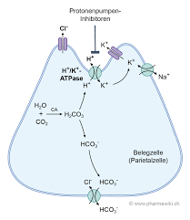 Pharmawiki Pantoprazol