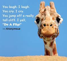 Quotes About Jumping Off Cliffs Quotesgram