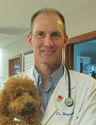 Rogers animal hospital has an exceptional staff of veterinarians, technicians, and groomers to meet your pets' specific needs. Veterinarians Meet Our Teams In Rogers And Bentonville All Pets Animal Hospital