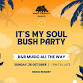 It’s My Soul Bush Party event image