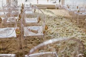 Acrylic Ghost Chairs For Our Beach Wedding Ceremony In Phuket Wedding Planner Www Luxuryeventsphuket Wedding Beach Ceremony Beachy Wedding Wedding Storyboard