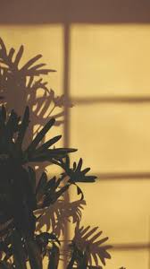 Maybe you would like to learn more about one of these? 760 Wallpaper Phone Ideas In 2021 Wallpaper Aesthetic Wallpapers Cute Wallpapers