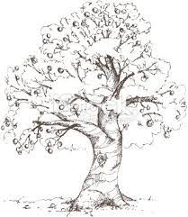 Draw a jagged stem coming up from the leafy shapes on the pineapple. Hand Drawn Apple Tree Drawn In Loose Sketchy Style Xl Jpg Included Tree Drawing Tree Sketches Apple Tree Drawing