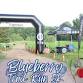 Blueberry Trail Run 5K Run/Walk
